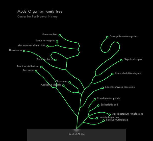 Thumbnail photo: Catalog of Post Natural Organisms